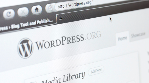 WordPress Support and Site Maintenance